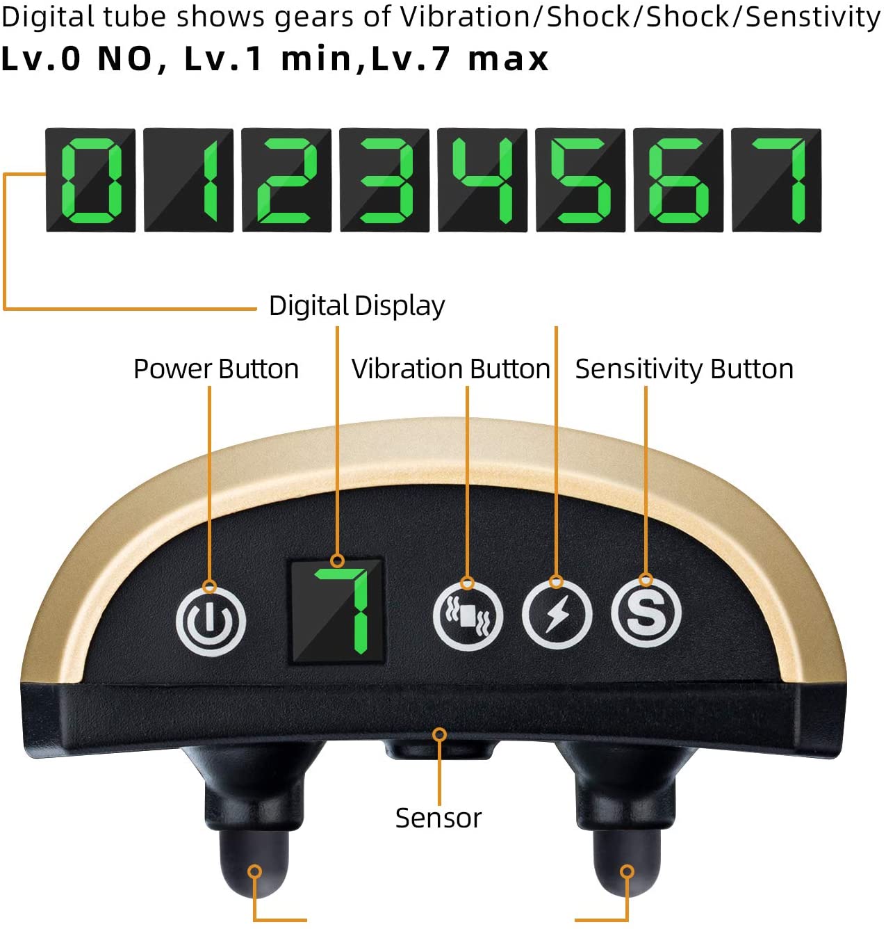 Electronic Dog Training Device With Electric Shock Collar And Screen